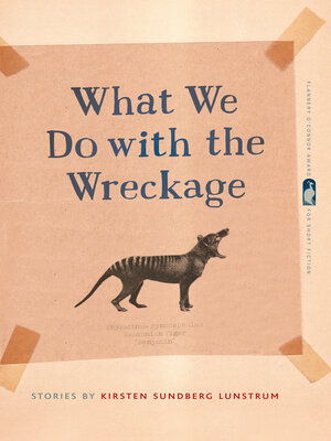 cover image of What We Do with the Wreckage